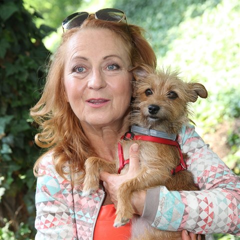 Simona Staov se nakonec lsala ke svmu psovi.