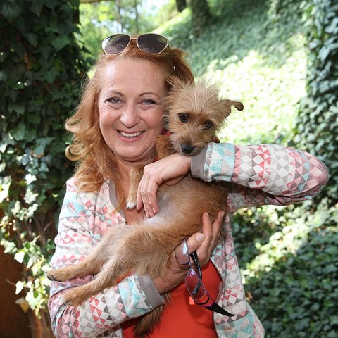 Simona Staov se nakonec lsala ke svmu psovi.