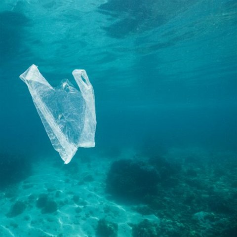 Moře a oceány jsou plné plastů.