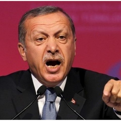 Tureckho prezidenta Recepa Erdogana podn namchlo rozhodnut rakouskho...