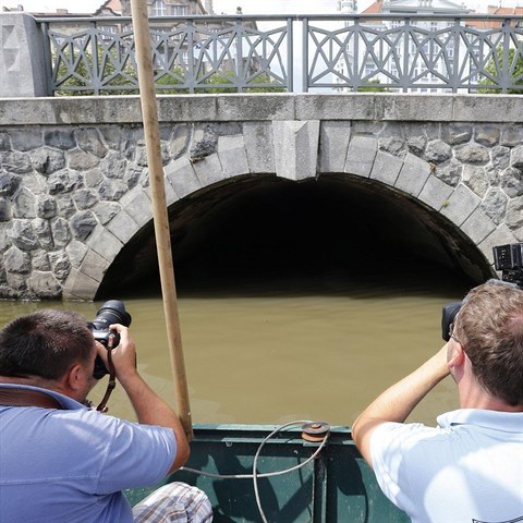 Jedna ena hledn keky pod Motolskm potokem nepeila, tlo dalho mladka...