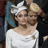 Angelina Jolie se svými necelými padesáti kilogramy a vyznamenáním.