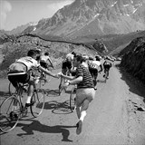 Oberstven zvodnka bhem Tour de France 1964.