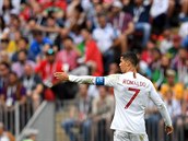 Ronaldo táhne Portugalsko za úspchem. Opt.