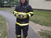 hasii v Ostrav-Zábehu zachránili mlád potolky, které jet neumlo létat a...