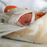 Dti se narodily 11. ervna 2018 v motolsk porodnici.