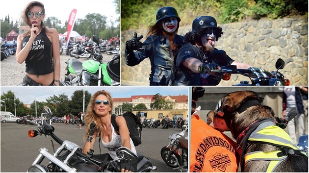 Sraz fanouk znaky Harley-Davidson nabídl pehlídku sexy motorkáek,...