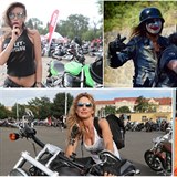 Sraz fanouk znaky Harley-Davidson nabdl pehldku sexy motorkek,...