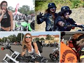 Sraz fanouk znaky Harley-Davidson nabídl pehlídku sexy motorkáek,...