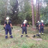 Hasii pomhali paraglidistovi, kter uvzl ve vtvch strom.