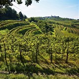 Slovinsko je známé také výborným vínem. Můžete se klidně vydat i po některé z...