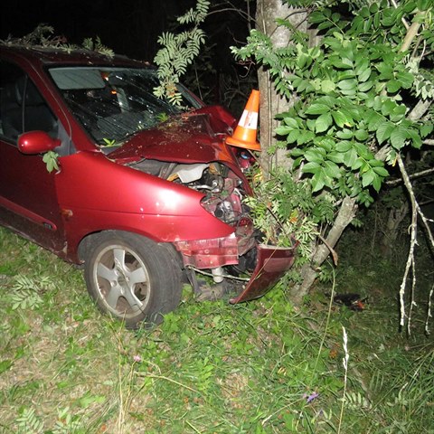 Opil idika sjela ze silnice a nabourala do stromu.