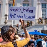 Demonstranti si přinesli transparenty proti antisemitismu.