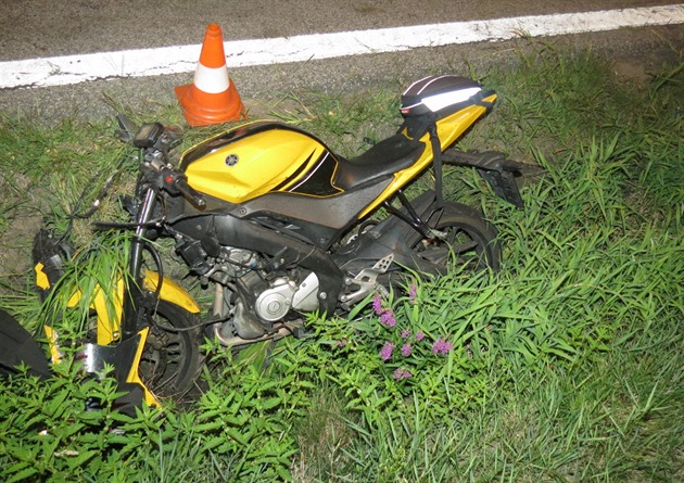Motorká srazil v katastru obce Braniov srnu.