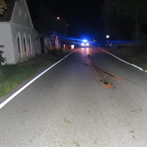 Motork srazil v katastru obce Braniov srnu.