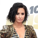 Demi Lovato pustili z nemocnice dom