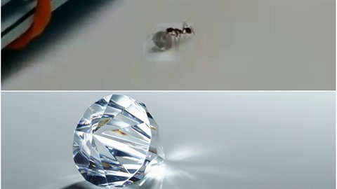 Malý mravenec se snail ukrást diamant.