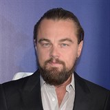 Plnovousem byl jednu dobu i fanynkami milovan herec Leonardo diCaprio.