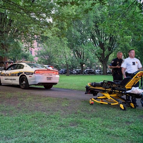 Policie zasahuje v parku New Haven Green.