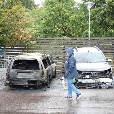 Zpsobili nepokoje ve vdskch mstech opravdu organizovan gangy migrant?