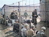 Kolorovaná fotografie z osvobození koncentraního tábora Bergen-Belsen v dubnu...