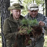 Ruský prezident na Sibiři zkoumá sazeničky borovic.
