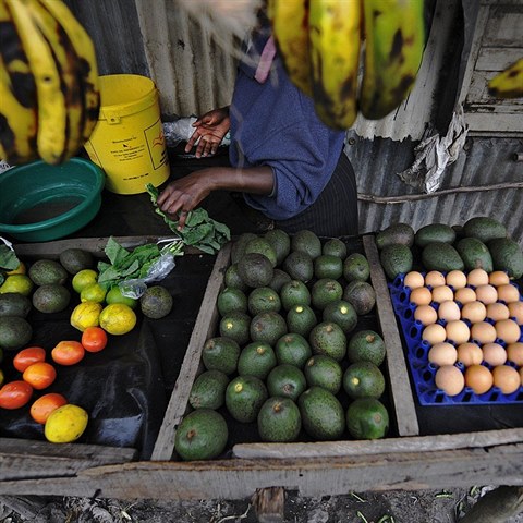 V Keni na trhu se sice s avokdem setkte, vtina produkce m na vvoz.