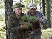 Ruský prezident na Sibii zkoumá sazeniky borovic.