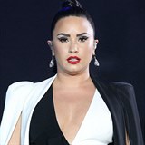 Demi Lovato prodává svůj dům.
