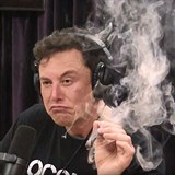 Musk si na marihuaně zjevně pochutnal.