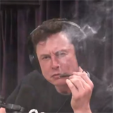 Musk marihuanu očuchal, jako by snad byl v její konzumaci sběhlý.