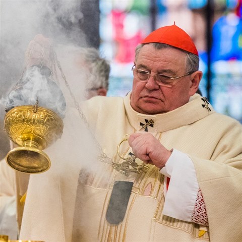 Kardinl Dominik Duka podal alobu jako fyzick osoba.