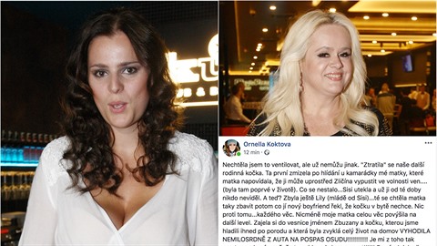Ornella nazvala svou matku hyenou.
