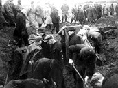 Vykopávání masového hrobu vz tábora Aschendorfermoor.