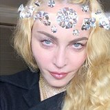 Madonna se začíná nebezpečně podobat obávané „kočičí ženě“ Jocelyn Wildestein.