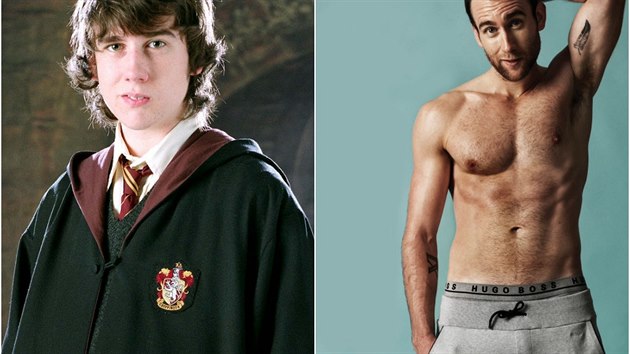 Před a po: Neskutečné proměny herců z Harryho Pottera! Kdo vypadá nejlíp? |  Články | OCKO.TV
