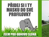 Aktivisté bojující za nového slona vytvoili i nové masky do profilovek.