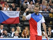 Tenista Radek tpánek se rozlouil s profesionální kariérou.