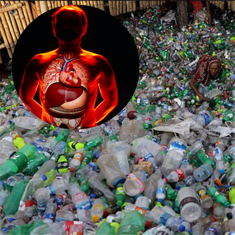 Lidské tělo je plné plastů! Mikročástice se dostanou téměř všude.