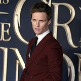 Zabodoval i herec Eddie Redmayne, kter ve filmu hraje hlavn postavu Mloka...