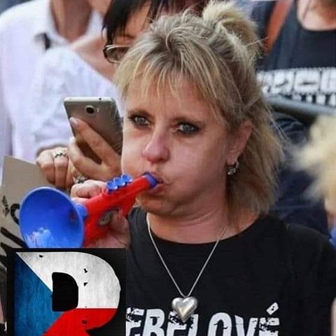 Vladnka Klikarov miluje demonstrace.