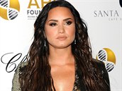 Demi Lovato se snaí vrátit se opt do ivota