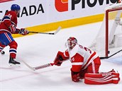 Asi poslední gól Tomáe Plekance v NHL. Takhle skóroval útoník Montrealu proti...