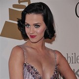 Po takto krásné Katy Perry se jistě mužům stýská.