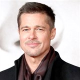 Brad Pitt