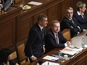 Premiér Andrej Babi (vlevo) hlasuje proti nedve vlád 23. listopadu 2018 v...