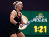 Cibulková patí k nejslavnjím slovenským teniskám.