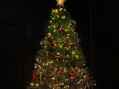 Vánoní strom