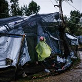 V tboe Moria panuj otesn podmnky. Lid zde napklad sbraj plastov...