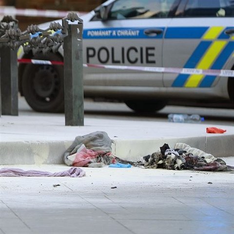 Policie na mst inu